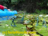 /home//u458753944/public_html/sourcegallery//Frogs/Bullfrogs 2016-08 Ontario/P8081394.JPG